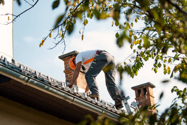 Best Roof Leak Repair  in Tower Lakes, IL