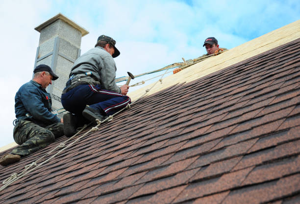 Best Roof Repair Services  in Tower Lakes, IL