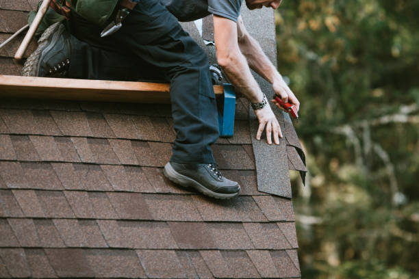 Best Roof Repair Services  in Tower Lakes, IL